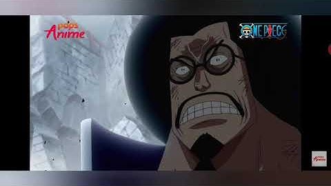 Lời nói cuối cùng của Râu trắng One Piece #pops Anime