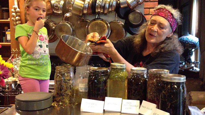 Linden Infusion with Susun Weed