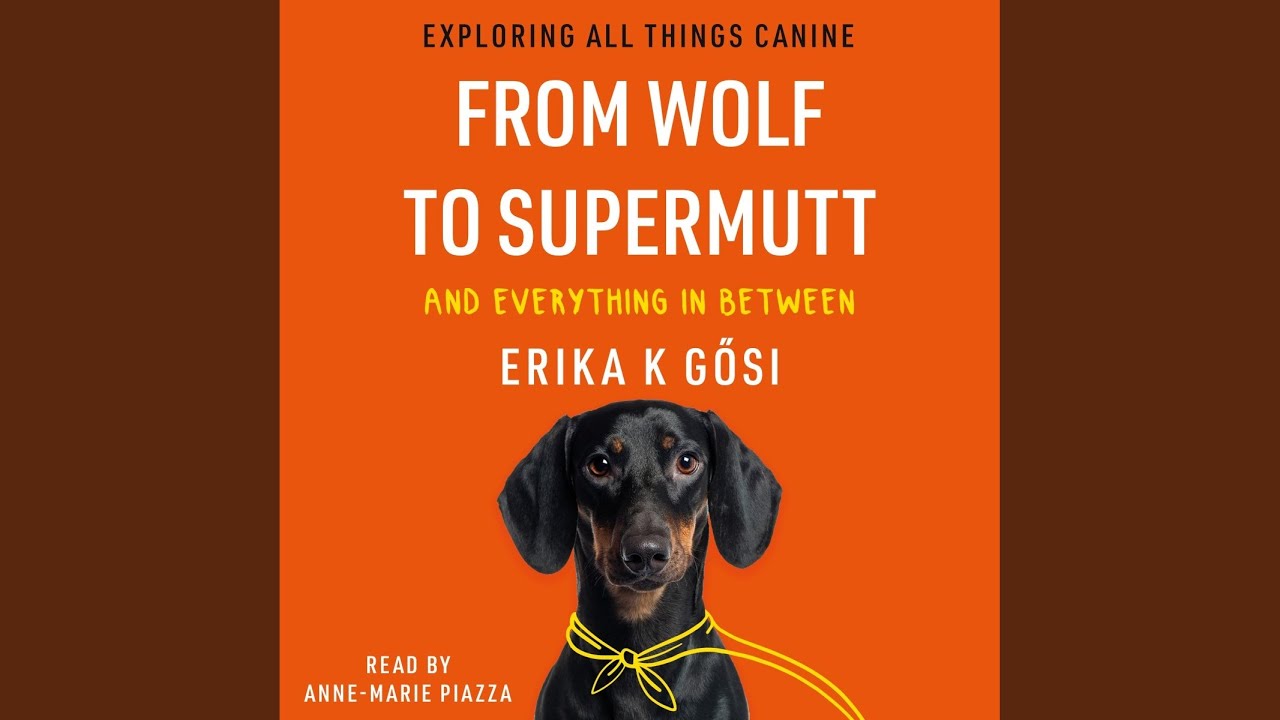 Chapter 18: Behaviour Analysis.20 - From Wolf to Supermutt and Everything in Between