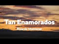 Ricardo Montaner - Tan enamorados [Lyrics+Vietsub]