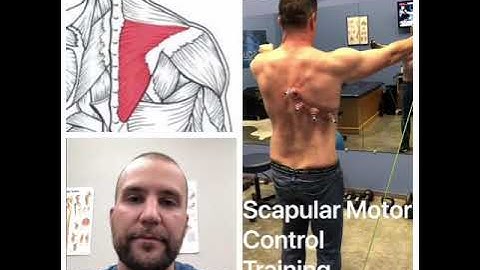 Scapular motor control training