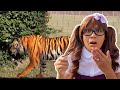 Learn Jungle Animals for Kids | Jungle Animal Toys Come Alive!