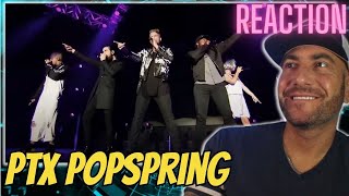 Super Fun! | Pentatonix- Popspring Performance 2016 - First Time REACTION