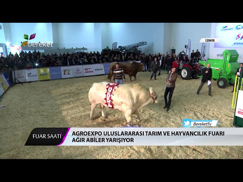 Fuar Saati | Belçika Mavisi Tartıya Sığmadı / AgroExpo İzmir 2018