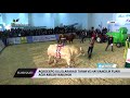 @Bereket TV  Belçika Mavisi Tartıya Sığmadı / AgroExpo İzmir 2018