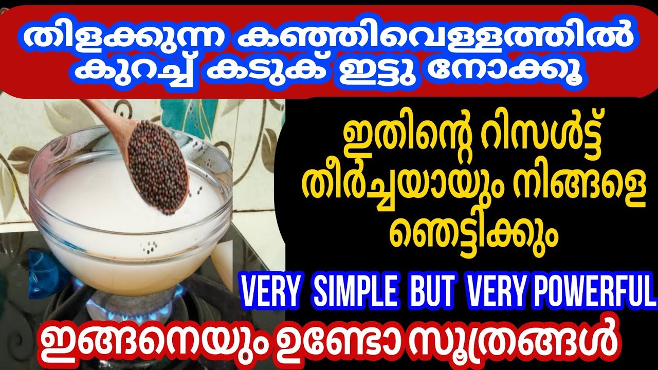 കഞ്ഞി വെള്ളവും കടുകും ഞെട്ടിച്ചു കളഞ്ഞു കിടിലൻ സൂത്രങ്ങൾ ഇതാ |Kitchen tips || cleaning tips
