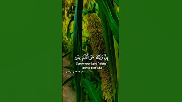تلاوة خاشعة بصوت يريح الأعصاب #تلاوة #اكسبلور #elmulquranعلم #المصحف #قران_كريم #trend #duet