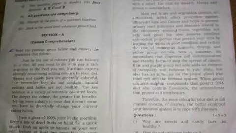 Hbse class 10 English Set D question paper 2019