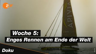 Vendée Globe Halbzeit Nahe Der Antarktis Sportreportage - Zdf