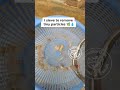 Why I Sieve Garlic & Ginger Water Before Giving Chicks 🐥💧