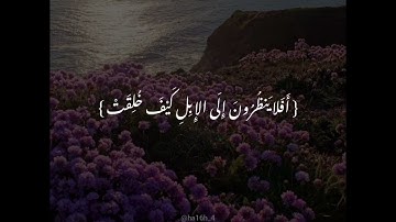 سورة الغاشيه القارئ حسام الدين عبادي