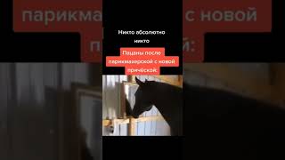 пацаны после парикмахерской #мем #memes #рекомендации #приколы #shorts