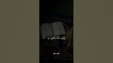 اكتب شيء تؤجر عليه ❤️😴 من أجمل التلاوات