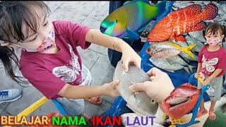 Borong Semua Jenis Ikan Laut Besar Kranjang Raline Sampai Penuh | wholesale all kinds of marine fish