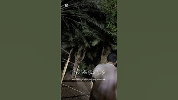 سورة البينة من صلاة العشاء للقارئ #فهد_رجا_الدهام #اكسبلور