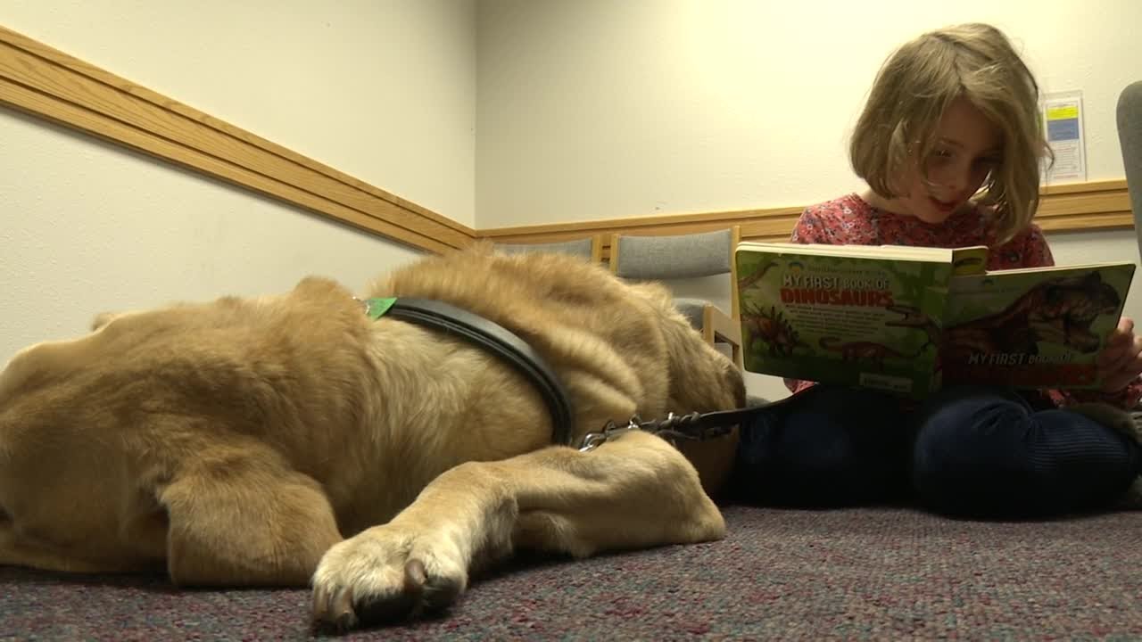 Malmstrom library program encourages kids to read to dogs YouTube