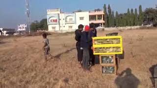 Pune Racing Pigeons. 42 Wings Pigeon Loft