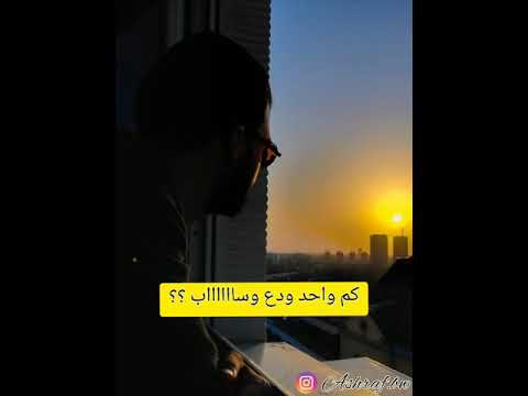 Hamza Namira Dari Ya Albi Lyrics كلمات ولا أروع