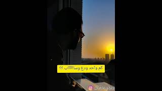 Hamza Namira- Dari Ya Albi (Lyrics) كلمات ولا أروع