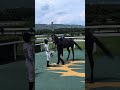 西塚洸二騎手(ビーチェマーレ)、阪神競馬7R 3歳未勝利 勝利後の記念撮影    20260606