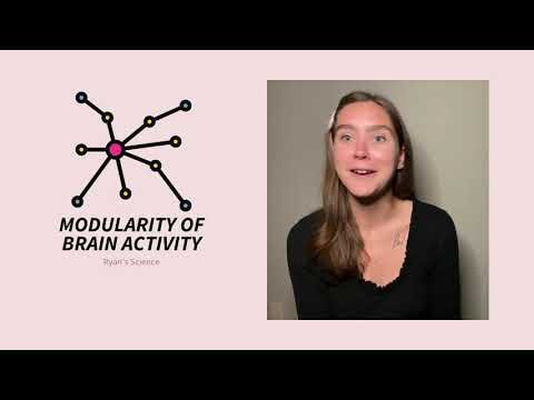 Modularity of Brain Activity (ft. Dr. Melia Bonomo!): what does it mean and why does it matter??