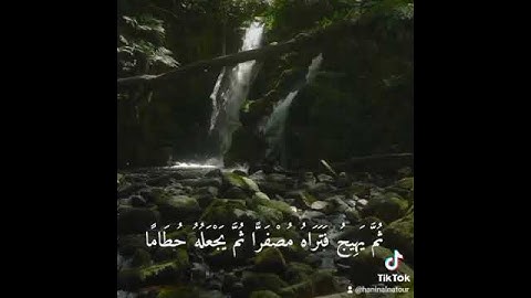 أَلَمْ تَرَ أَنَّ اللَّهَ أَنزَلَ مِنَ السَّمَاءِ مَاءً فَسَلَكَهُ يَنَابِيعَ فِي الْأَرْضِ #تلاوة