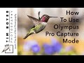 How to Use Olympus Pro Capture Mode