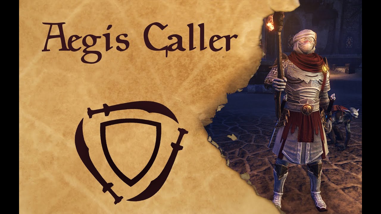 ESO Stamina Sorcerer RP PVE Build Aegis Caller YouTube
