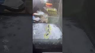 Live broadcast of street food specialties and fruit delicacies 2026/07/15 05:05:55.