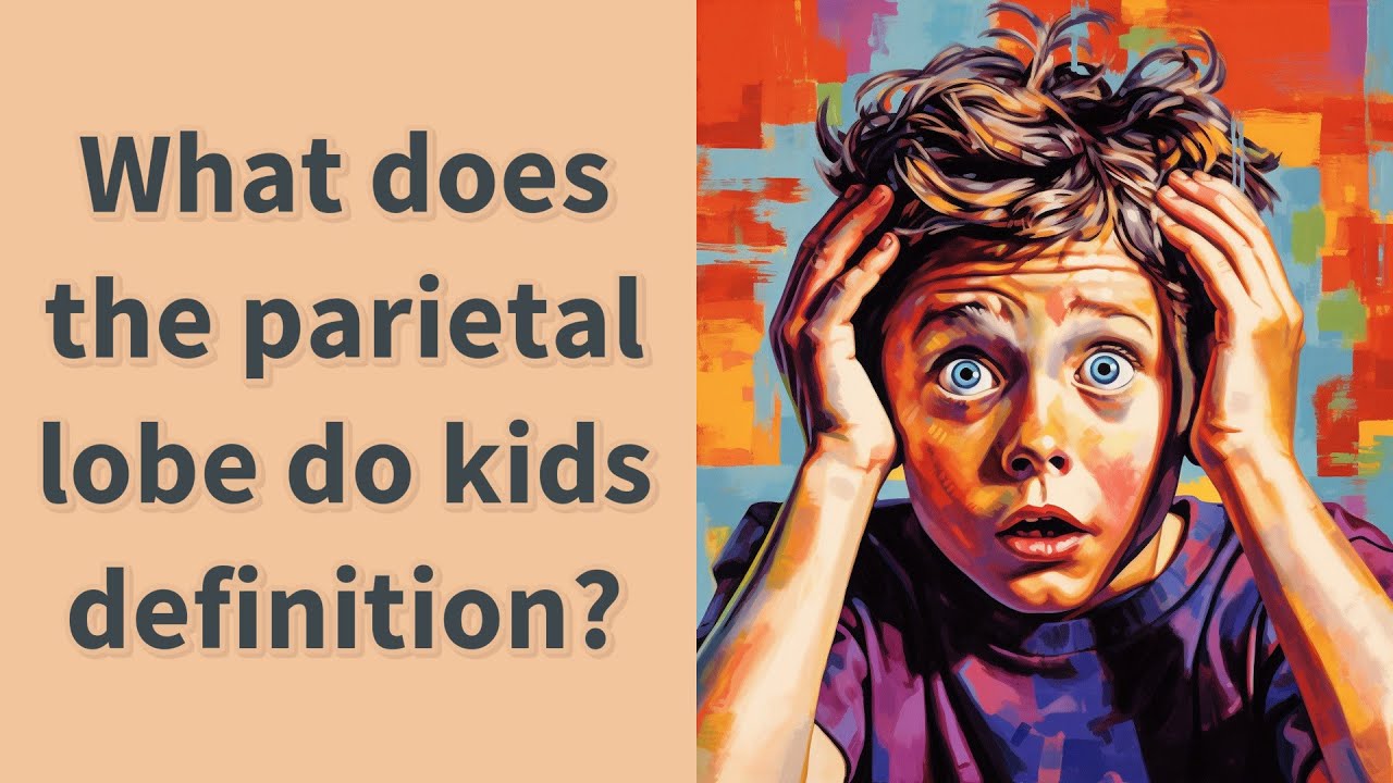 What Does The Parietal Lobe Do Kids Definition YouTube what-does-the-parietal-lobe-do-kids-definition-youtube