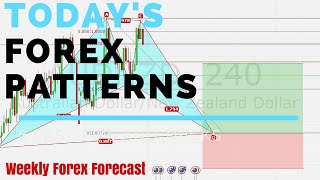Today's forex patterns | Weekly Forex Forecast