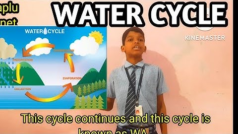 Water Cycle # Water Cycle For Class 3 and 4 # Science Chapter 9 Water For Class 3 Mylestone