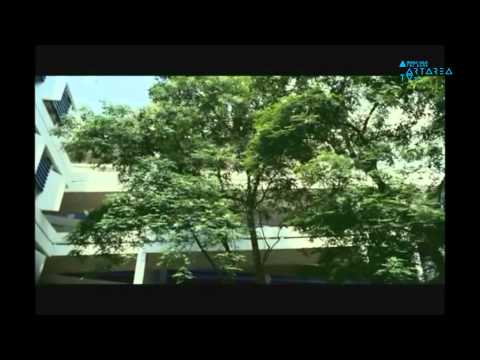 \"Timeline\" #3 - ინტროვერტული ხელოვნება