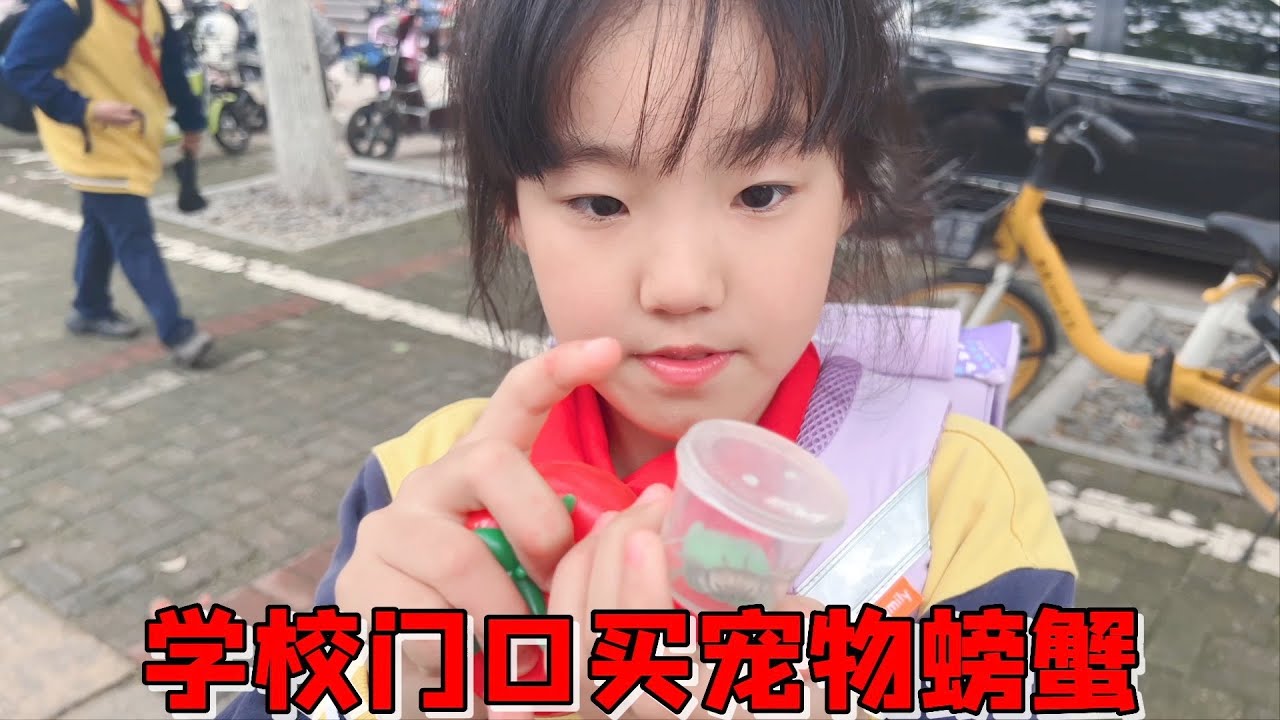 艾米新宠物小螃蟹刚到家，就发现一条金鱼死掉了，身上全是黑斑点