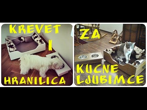 Video: Benazepril - Popis Lijekova Za Kućne Ljubimce, Pse I Mačke