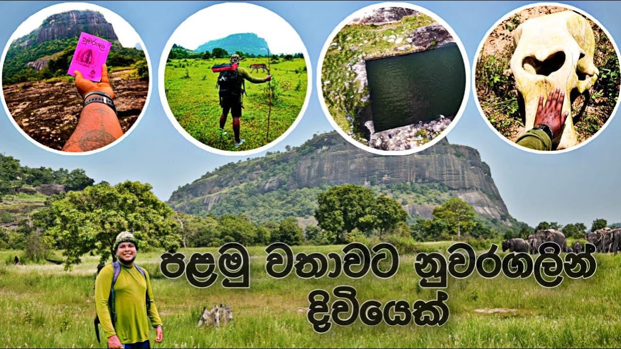 අලි ගහන කැලේ මැදින් සද්දාතිස්ස රජුගේ ඉතිහාසය සොයා..#nuwaragala #camping #elephant #travel #trending