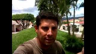 En Que Idioma Debo Hablarle A Mi Perro