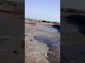 #youtubeshorts #automobile #shortsfeed #constraction #youtube #funny#viral
