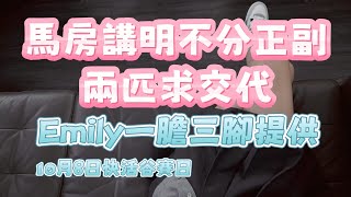 馬房講明不分正副||兩匹求交代||Emily一膽三腳提供||10月8日快活谷賽日