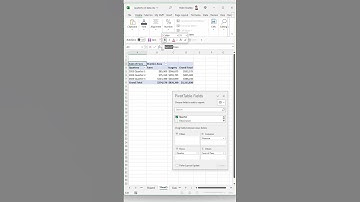 From Default to Custom: Edit Labels & Descriptions in Excel Pivot Tables #shorts