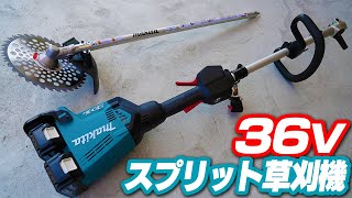 マックギズモ ハイク MC.GIZMOとHDSとMODLITE 本日限定割引‼︎ mqdefault.jpg