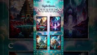 Which Image Have I Chosen? Intuition #14