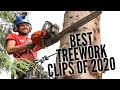 BEST TREEWORK compilation 2020