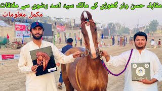 Meet with syed Asad Rizvi sb|horse show|Marwari horse in Pakistan