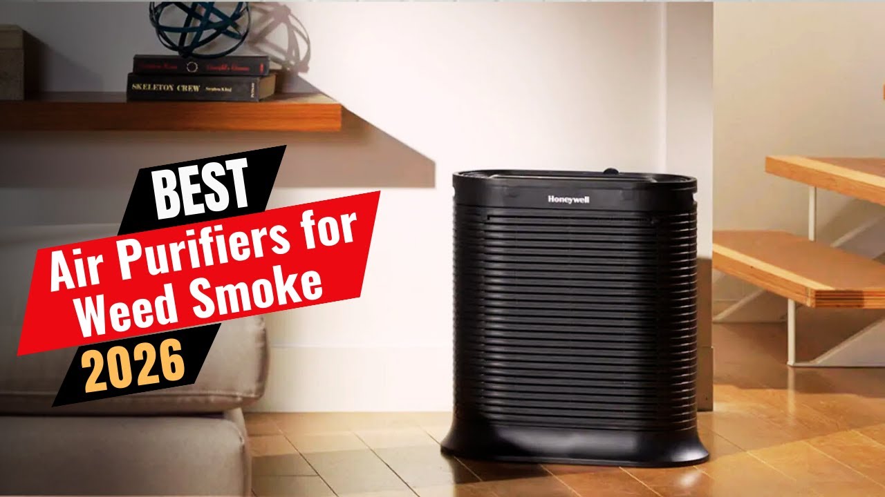 Best Air Purifiers for Weed Smoke In 2026 - YouTube