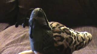 Video for Harleybadgers Mum