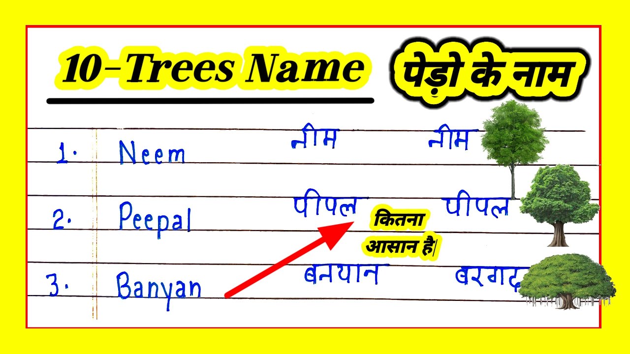 10 Trees Name In English And Hindi 10 Tree Name 10-trees-name-in-english-and-hindi-10-tree-name
