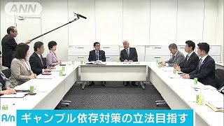 ギャンブル依存症対策　今国会の成立めざし初会合(17/04/18)