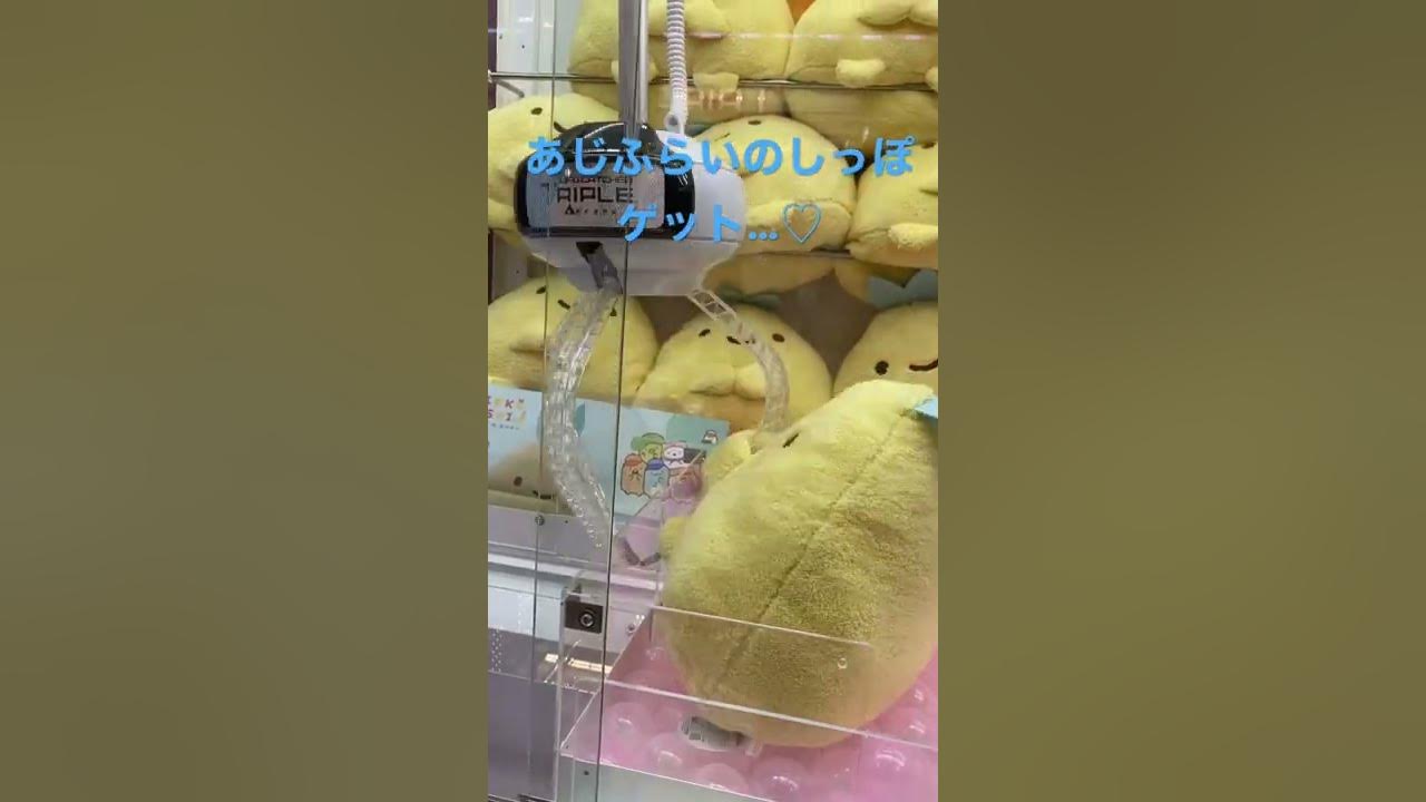 すみっこぐらし あじふらいのしっぽ攻略 Ufoキャッチャー クレーンゲーム すみっコぐらし あじふらいのしっぽ 攻略 Shorts クレーンゲーム攻略 ねこ しろくま Youtube