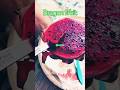 #shortvideoviral #youtubeshorts #trending #trendingshorts #fruit #fruitcutting #dragonfruit #viral